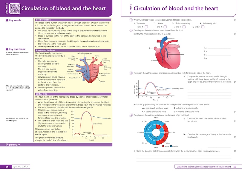 Sample content 4_AQA A-level Biology Organise and Retrieve Your Knowledge