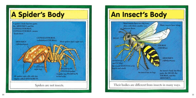 Sample content_Ara&ntilde;as