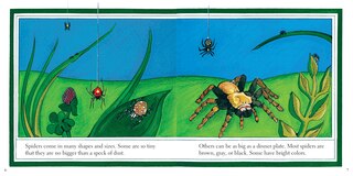 Sample content 3_Ara&ntilde;as