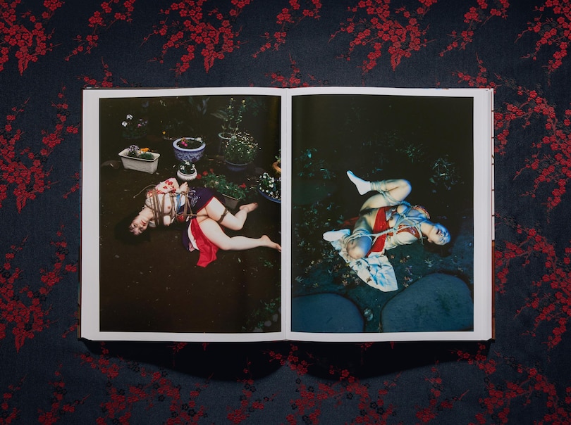 Sample content 4_Araki. Bondage