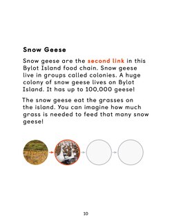 Sample content_Arctic Animal Food Chains