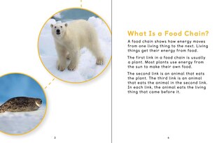 Sample content 4_Arctic Animal Food Chains