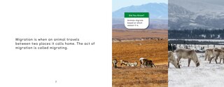 Sample content 2_Arctic Animal Migration