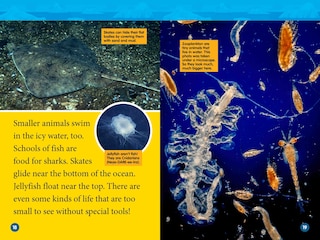 Sample content 2_Arctic Animals (National Geographic Kids Readers, Level 2)