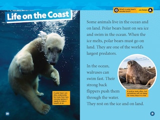 Sample content 3_Arctic Animals (National Geographic Kids Readers, Level 2)