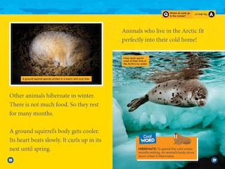 Sample content 4_Arctic Animals (National Geographic Kids Readers, Level 2)