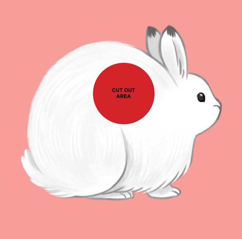 Sample content_Arctic Animals