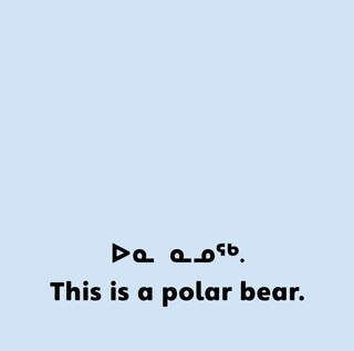 Sample content 3_Arctic Animals