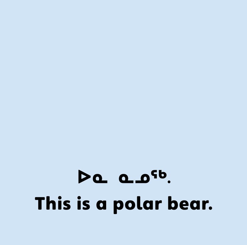 Sample content 3_Arctic Animals