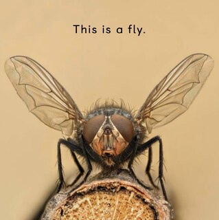 Sample content 3_Arctic Bugs