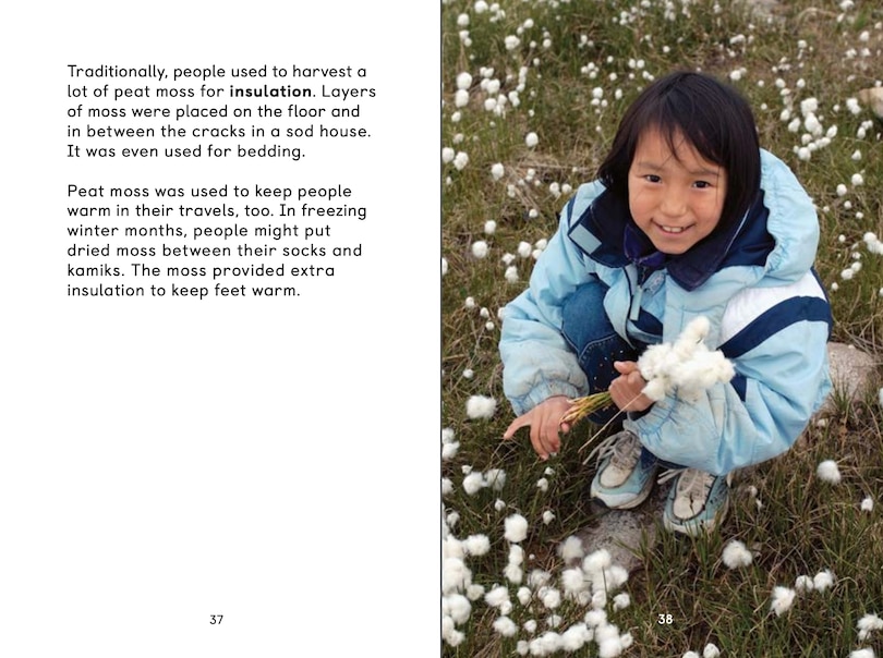 Sample content_Arctic Plants: An Introduction To Edible And Medicinal Plants Of The North