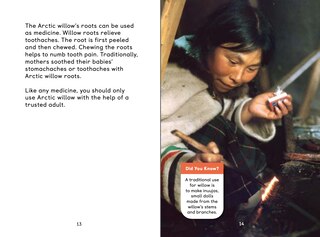 Sample content 3_Arctic Plants: An Introduction To Edible And Medicinal Plants Of The North