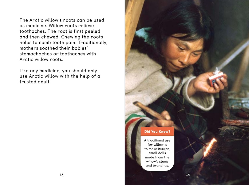 Sample content 3_Arctic Plants: An Introduction To Edible And Medicinal Plants Of The North