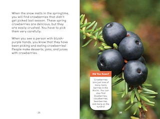 Sample content 4_Arctic Plants: An Introduction To Edible And Medicinal Plants Of The North