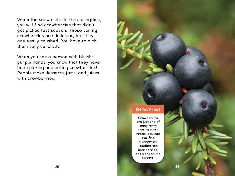Sample content 4_Arctic Plants: An Introduction To Edible And Medicinal Plants Of The North