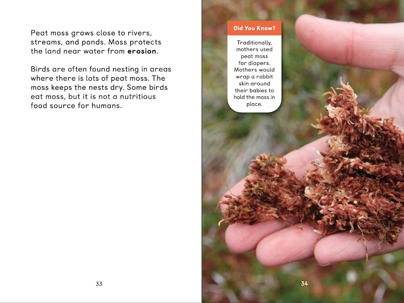 Sample content 5_Arctic Plants: An Introduction To Edible And Medicinal Plants Of The North