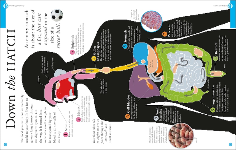Sample content 4_Are You What You Eat?
