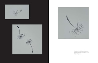 Sample content 4_Art Is