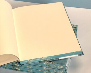 Sample content 2_Artists’ Sketchbook Van Gogh Almond Blossom