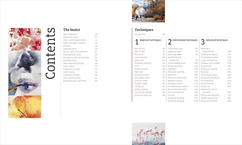 Aperçu du contenu_Artist's Watercolor Techniques