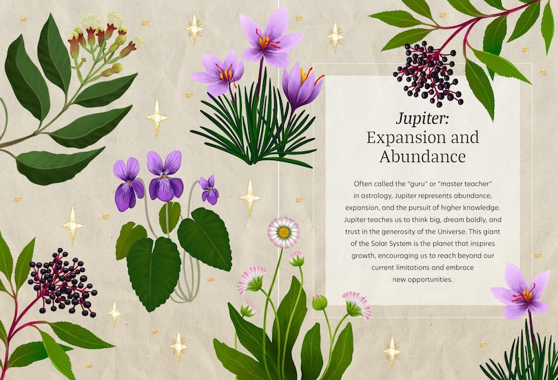 Sample content 2_Astro Herbalism