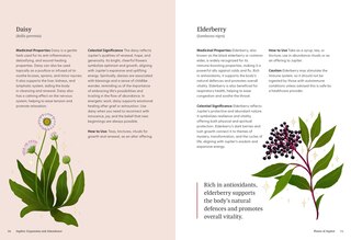 Sample content 5_Astro Herbalism