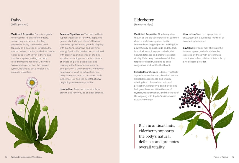 Sample content 5_Astro Herbalism
