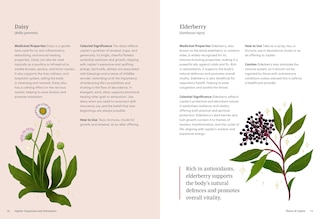 Sample content 5_Astro Herbalism