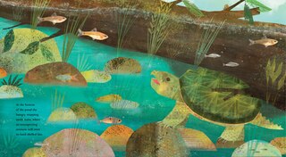 Sample content_At the Pond
