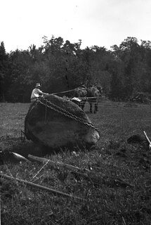 Aperçu du contenu 2_Atlantic Canada's Irish Immigrants