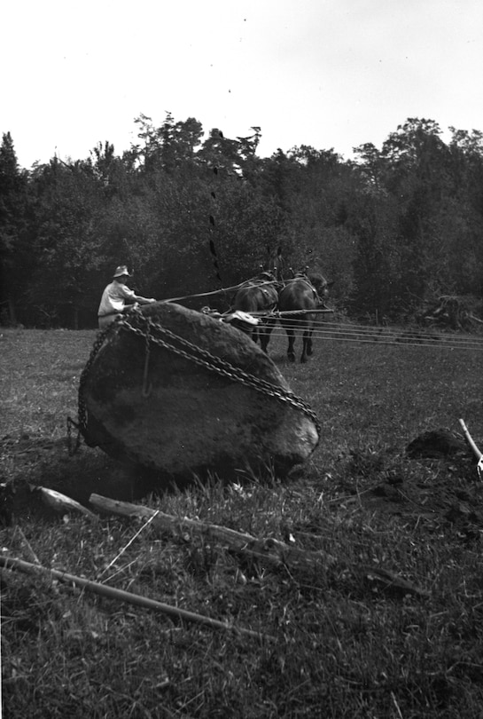 Aperçu du contenu 2_Atlantic Canada's Irish Immigrants