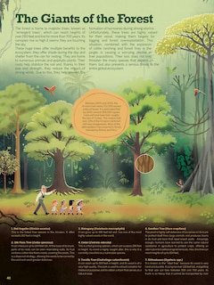 Sample content_Atlas of the Amazon