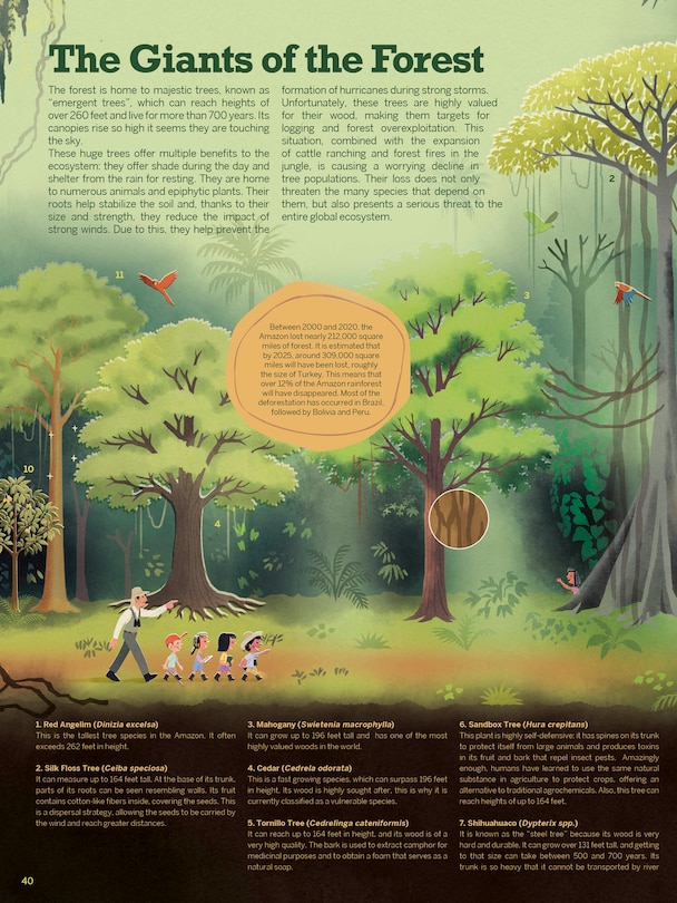 Sample content_Atlas of the Amazon