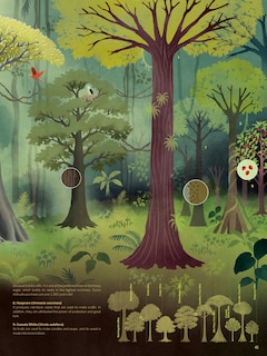 Sample content 2_Atlas of the Amazon