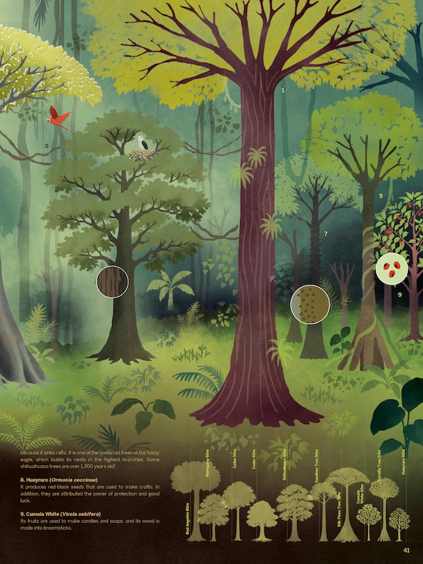 Sample content 2_Atlas of the Amazon