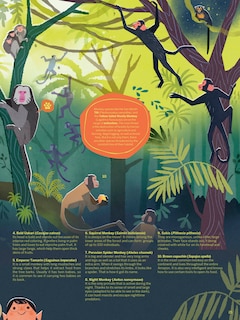 Sample content 3_Atlas of the Amazon