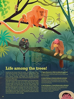 Sample content 4_Atlas of the Amazon