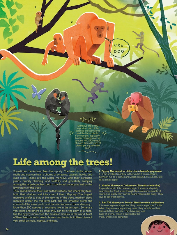 Sample content 4_Atlas of the Amazon