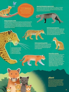 Sample content 5_Atlas of the Amazon