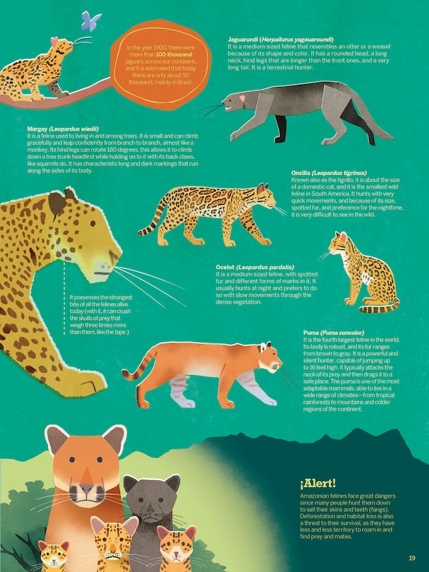 Sample content 5_Atlas of the Amazon