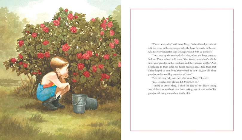 Sample content_Aunt Mary's Rose