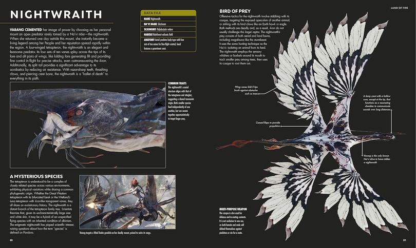 Sample content 3_Avatar Fire and Ash The Visual Dictionary