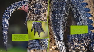 Aper&ccedil;u du contenu 2_Awesome Australian Animals