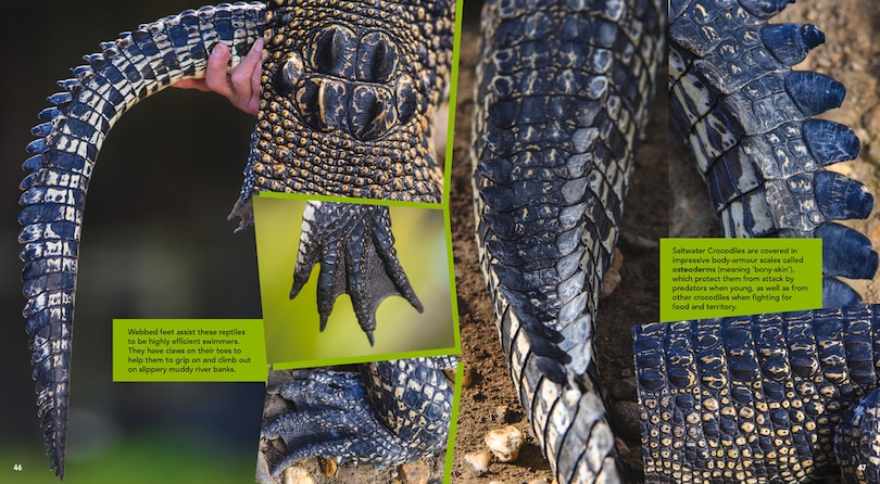 Aper&ccedil;u du contenu 2_Awesome Australian Animals