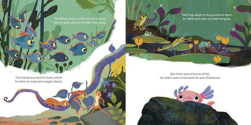 Aper&ccedil;u du contenu 5_Axl the Axolotl Is Not a Frog