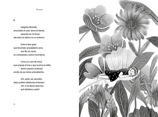 Aper&ccedil;u du contenu 2_B&eacute;cquer Para Ni&ntilde;os / B&eacute;cquer For Children