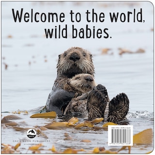 Back cover_Babies Of The Great Bear Rainforest