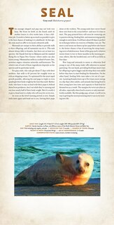 Sample content_Babies