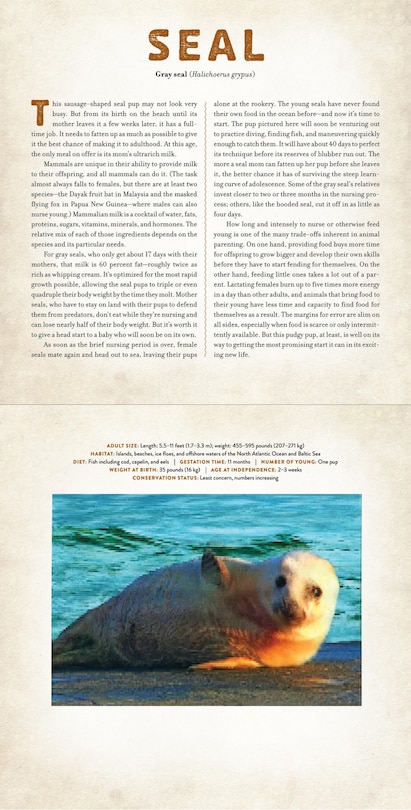 Sample content_Babies