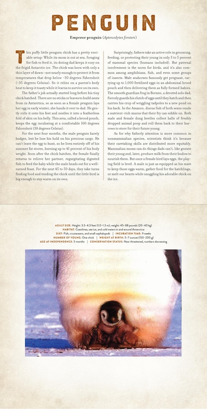 Sample content 2_Babies